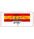 Spanish Battleflag