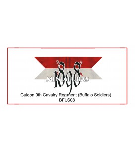 Company Guidon, 9th US Cavalry (Buffalo soldiers)